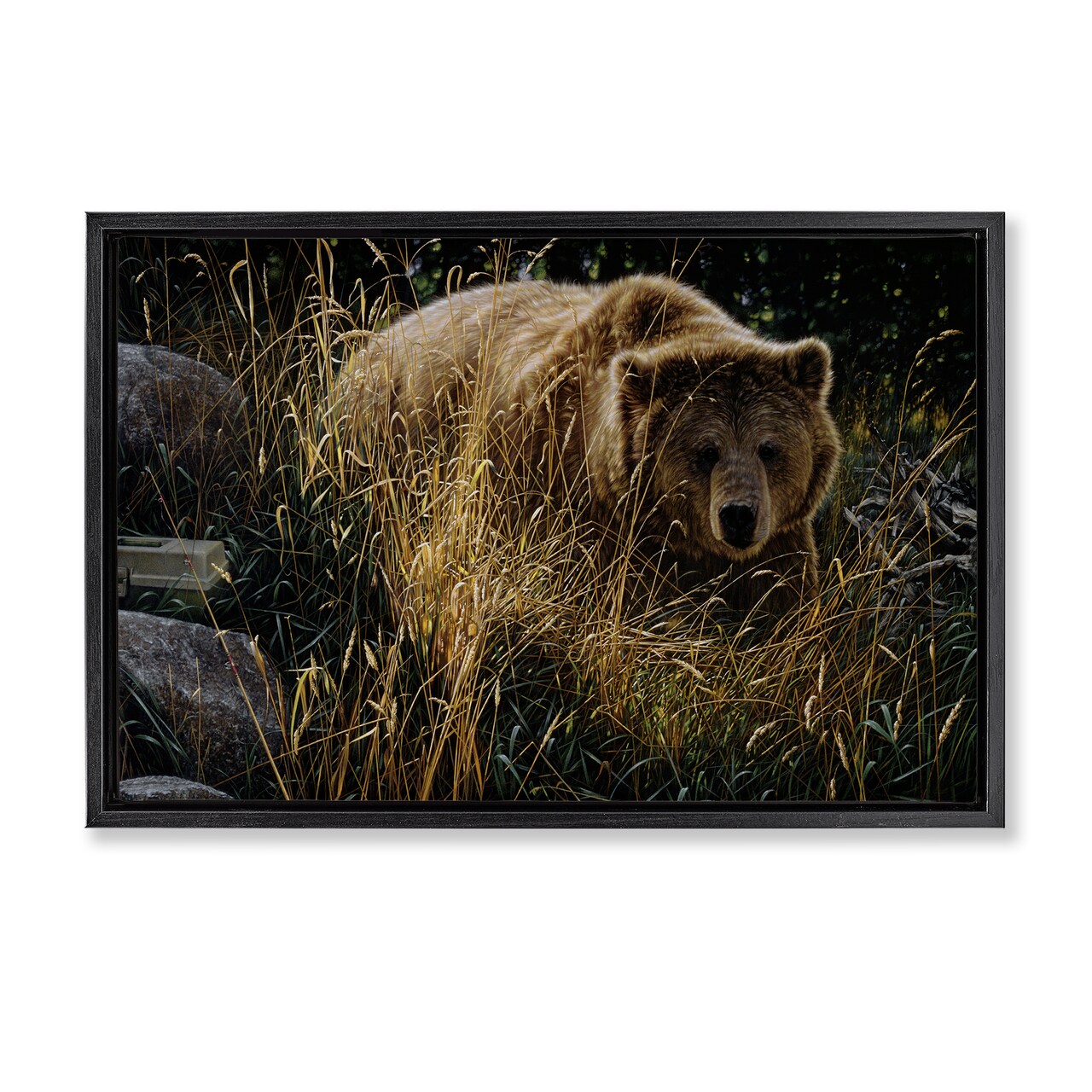 Stupell Industries Crossing Paths Grizzly Bear Floating Frame, design by Collin Bogle